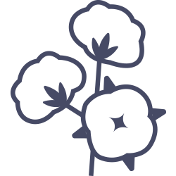 ORGANIC COTTON